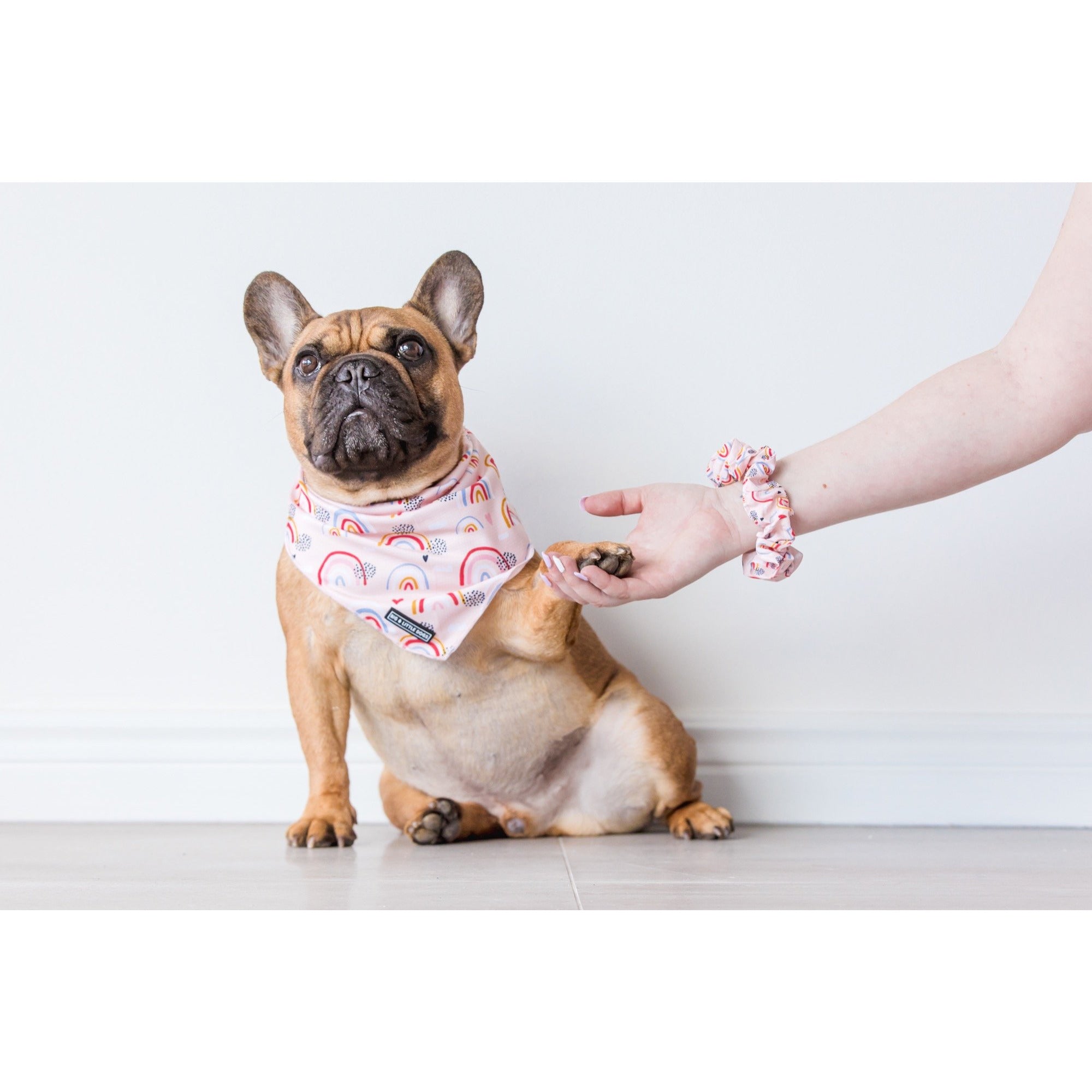 SCRUNCHIE: Rainbow Dreams {FINAL SALE}