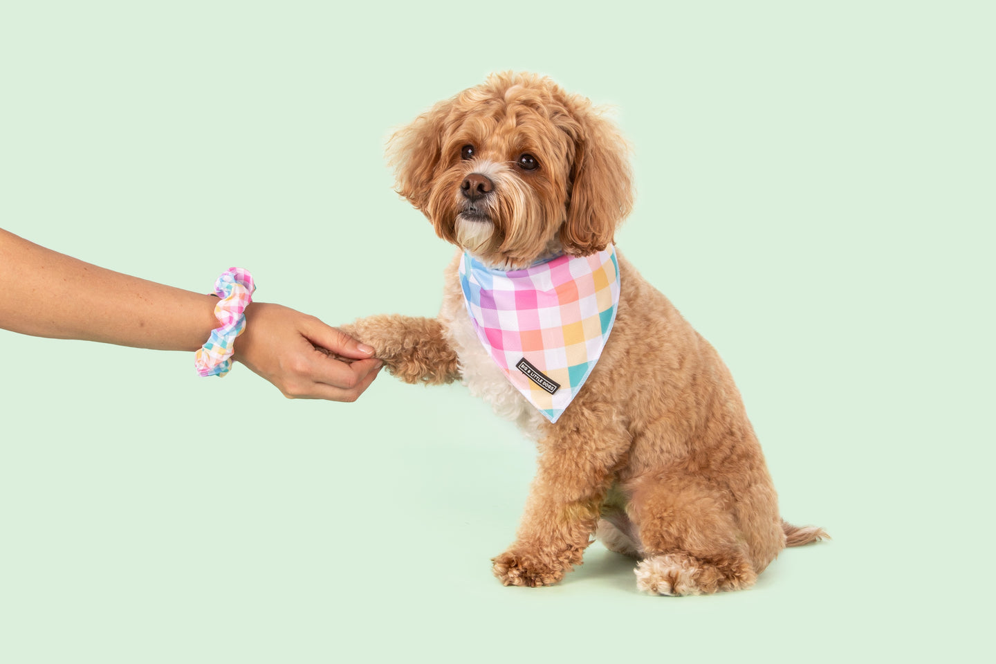 Hair Scrunchie Rainbow Gingham