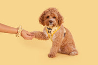 SCRUNCHIE: What's Quackin'? {FINAL SALE}