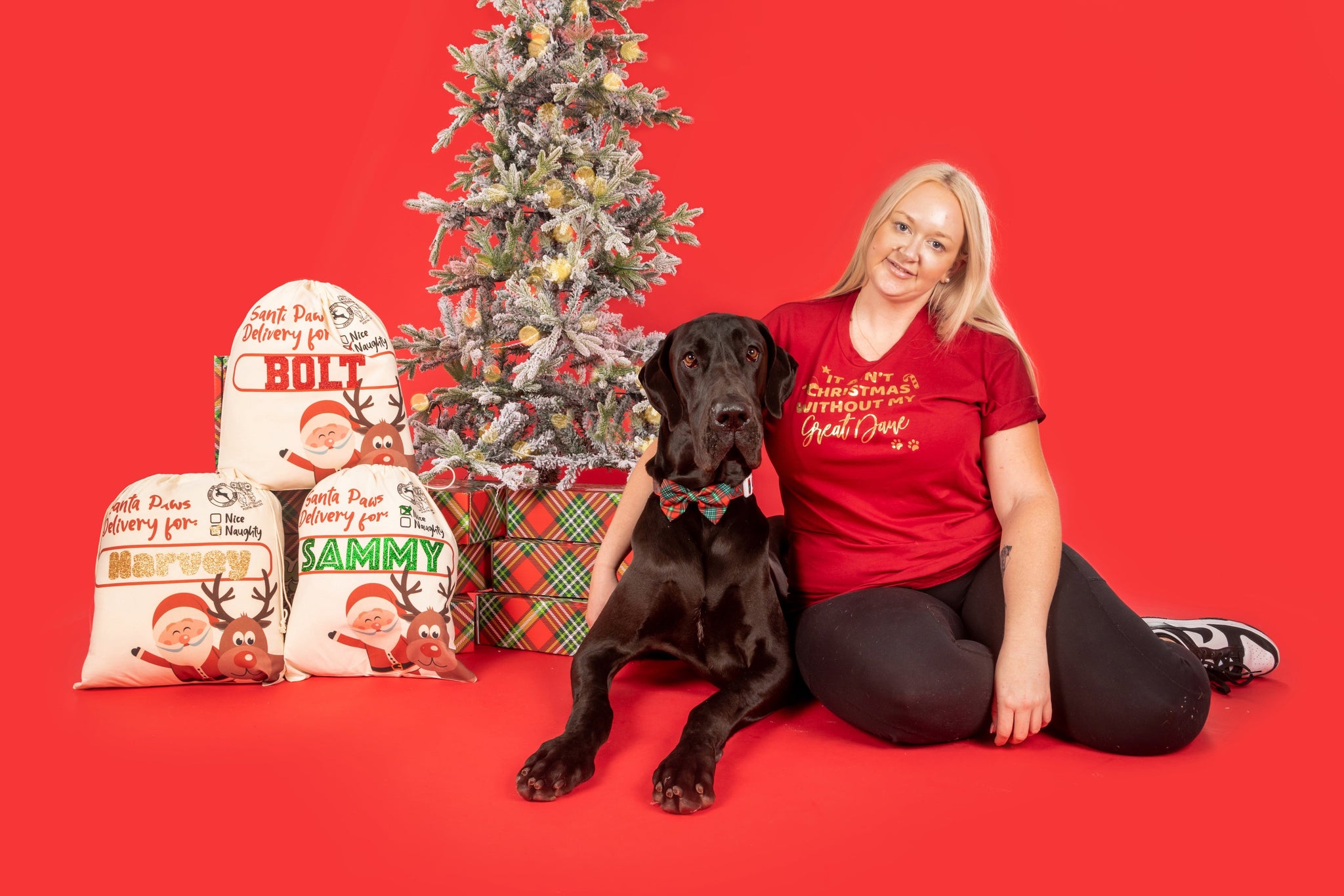 BLD LIFESTYLE CLUB TEE: "It Ain't Christmas Without My (BREED NAME)" | Cardinal (Vinyl)