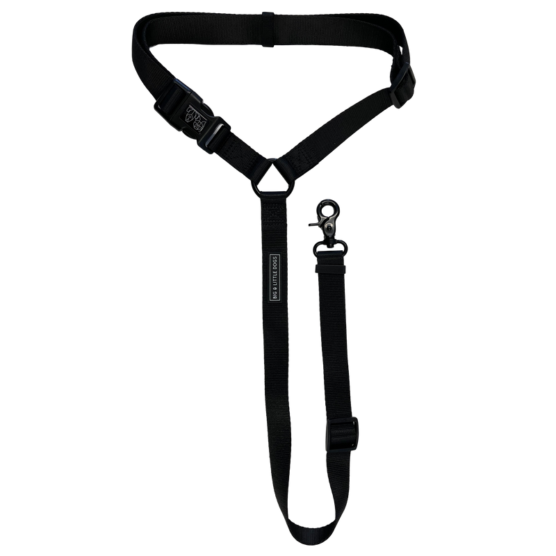 DOG CAR RESTRAINT For Big Small Dogs BIG LITTLE DOGS Big Little Dogs