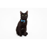 CAT COLLAR & BOW TIE: Scaled Back