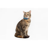 Little Kitty Co. Cat Collar & Bow Tie Scaled Back