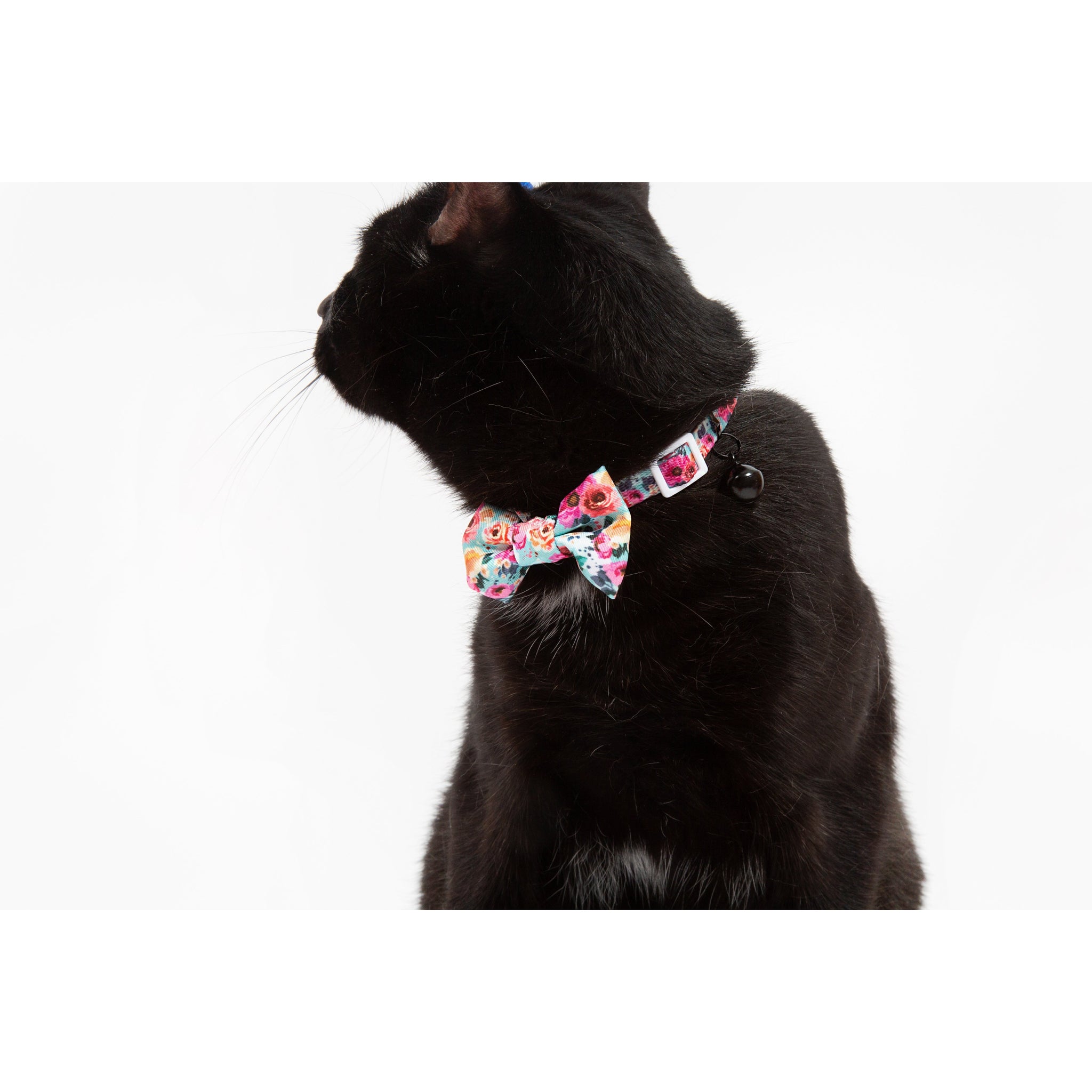 Little Kitty Co. Cat Collar & Bow Tie That Floral Feeling