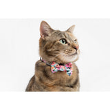 Little Kitty Co. Cat Collar & Bow Tie That Floral Feeling