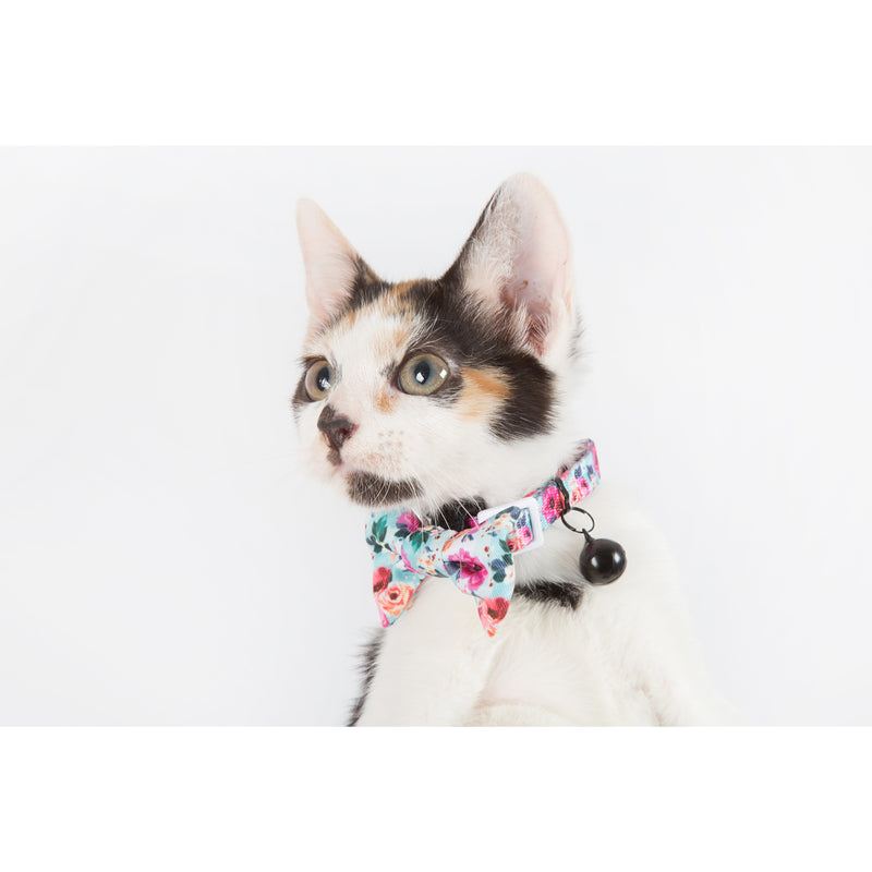 CAT COLLAR & BOW TIE: That Floral Feeling