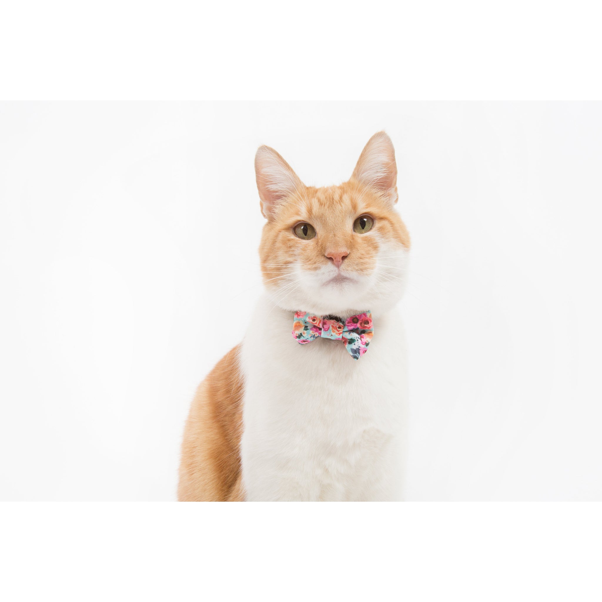 Little Kitty Co. Cat Collar & Bow Tie That Floral Feeling