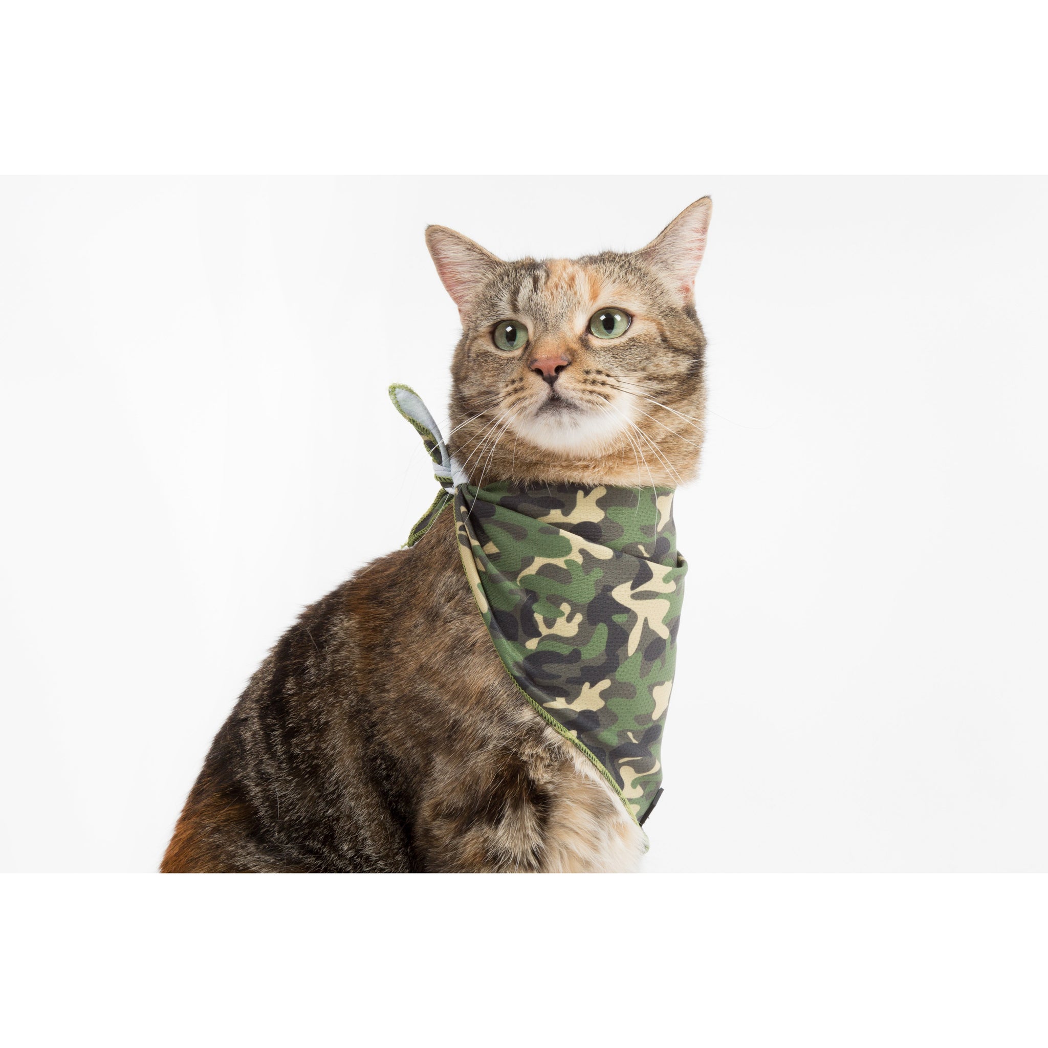 Little Kitty Co. Cooling Bandana Catouflage Camoflage