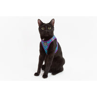 Little Kitty Co. Cat Step In Harness Scaled Back