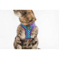 Little Kitty Co. Cat Step In Harness Scaled Back