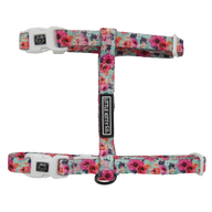 CAT STRAP HARNESS: That Floral Feeling