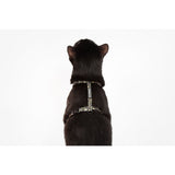 Little Kitty Co. Cat Strap Harness Catouflage Camouflage