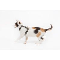 Little Kitty Co. Cat Strap Harness Catouflage Camouflage