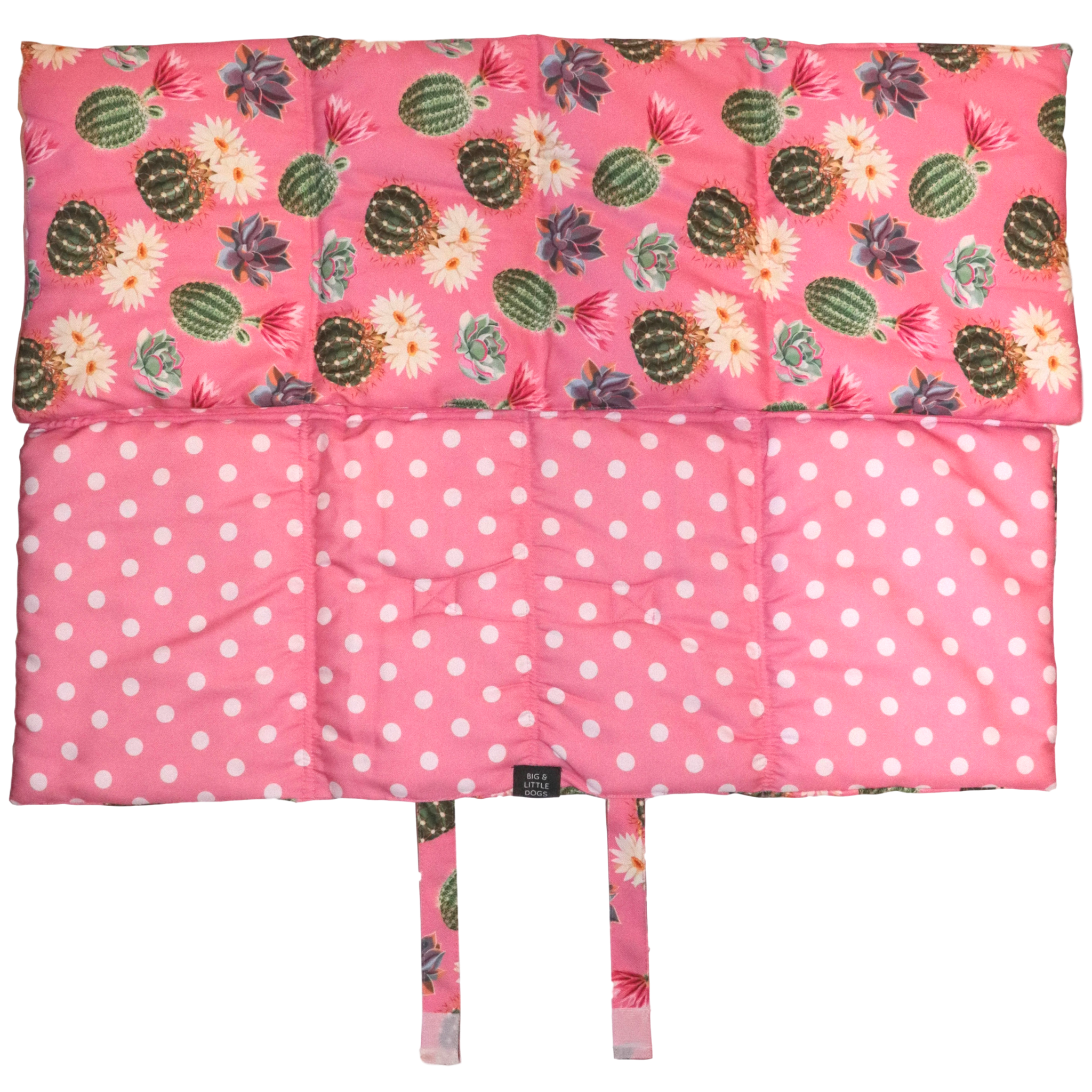 On The Go Pet Mat Plant One on Me Cactus Succulent Plants Pink Dots