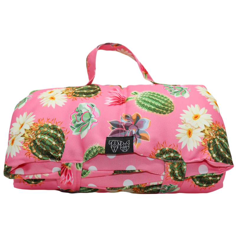 On The Go Pet Mat Plant One on Me Cactus Succulent Plants Pink Dots