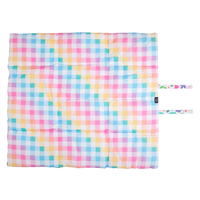 On The Go Pet Mat Follow The Rainbow Rainbow Gingham