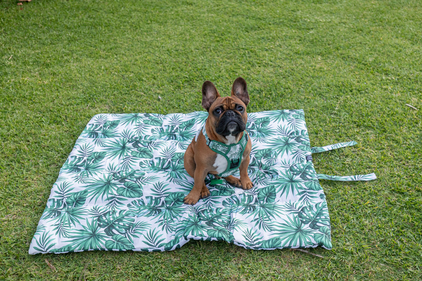 On The Go Pet Mat Lost in Paradise Palms