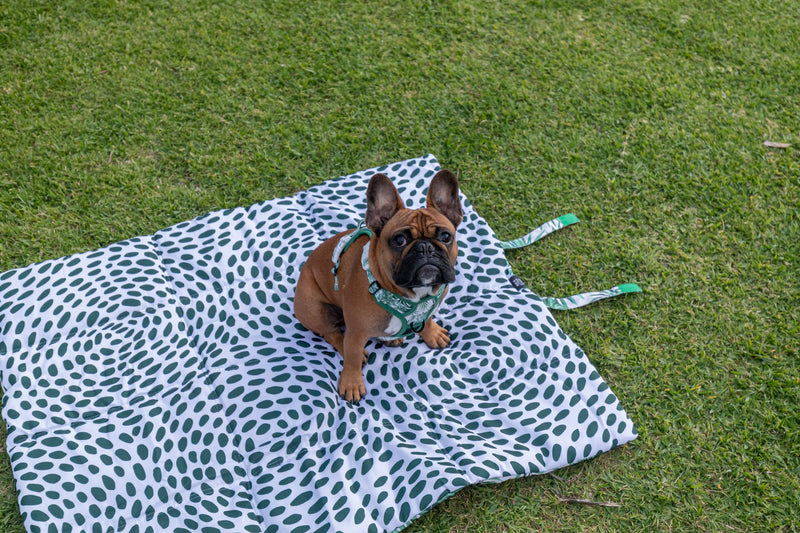 On The Go Pet Mat Lost in Paradise Palms