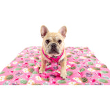 On The Go Pet Mat Plant One on Me Cactus Succulent Plants Pink Dots