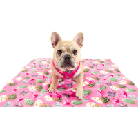 On The Go Pet Mat Plant One on Me Cactus Succulent Plants Pink Dots