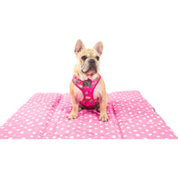 On The Go Pet Mat Plant One on Me Cactus Succulent Plants Pink Dots