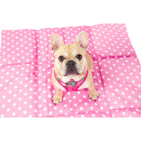 On The Go Pet Mat Plant One on Me Cactus Succulent Plants Pink Dots