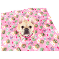 On The Go Pet Mat Plant One on Me Cactus Succulent Plants Pink Dots