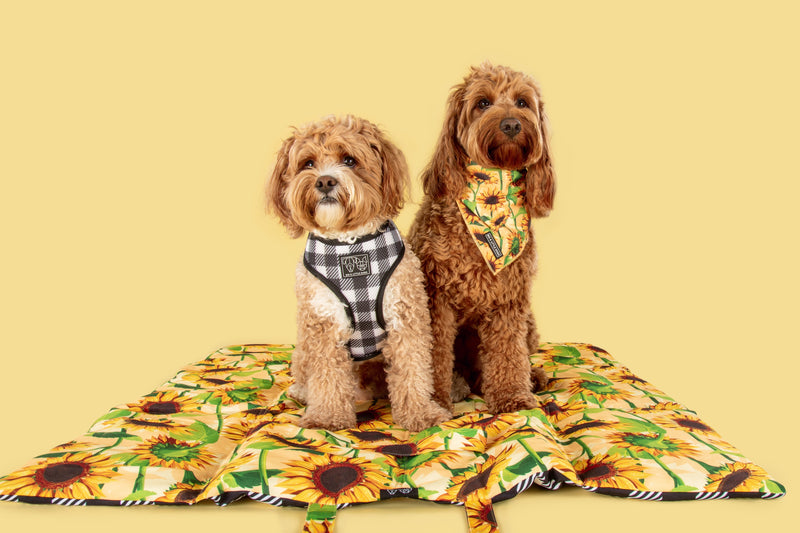 ON-THE-GO PET MAT: Sunny Vibes (SOLD OUT)
