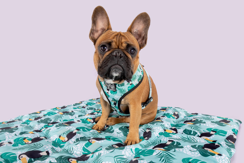 ON-THE-GO PET MAT: Toucan Do It (SOLD OUT)