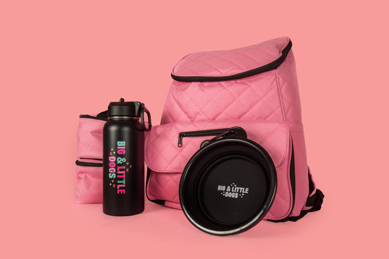 ON-THE-GO BACKPACK (+ ACCESSORIES): Pink