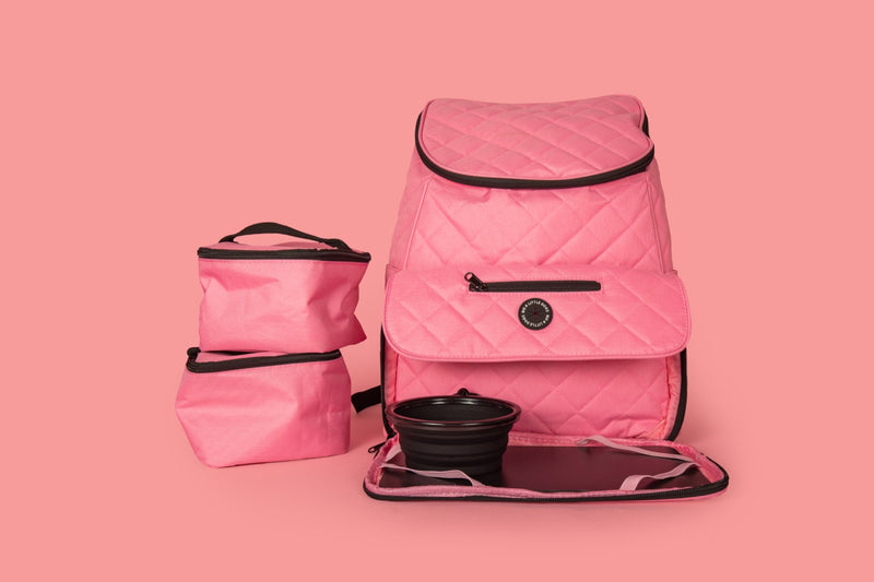 ON-THE-GO BACKPACK (+ ACCESSORIES): Pink {FINAL SALE}