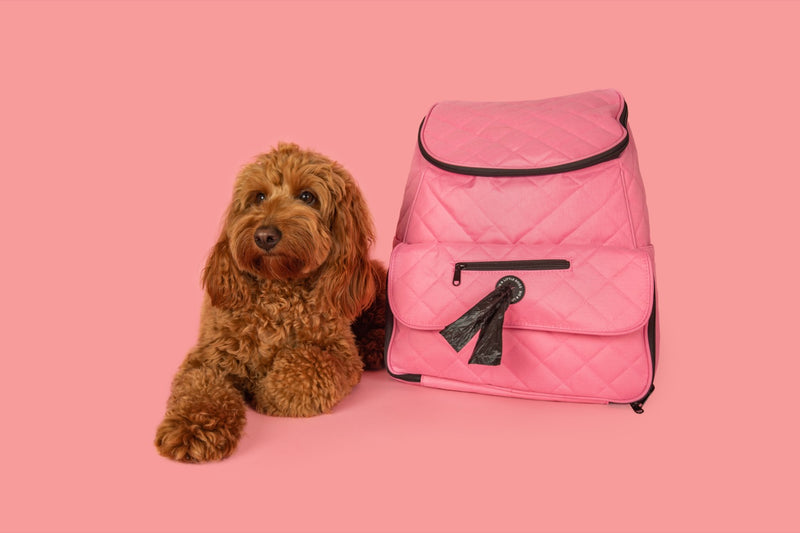 ON-THE-GO BACKPACK (+ ACCESSORIES): Pink {FINAL SALE}
