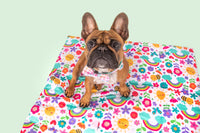 On The Go Pet Mat Follow The Rainbow Rainbow Gingham