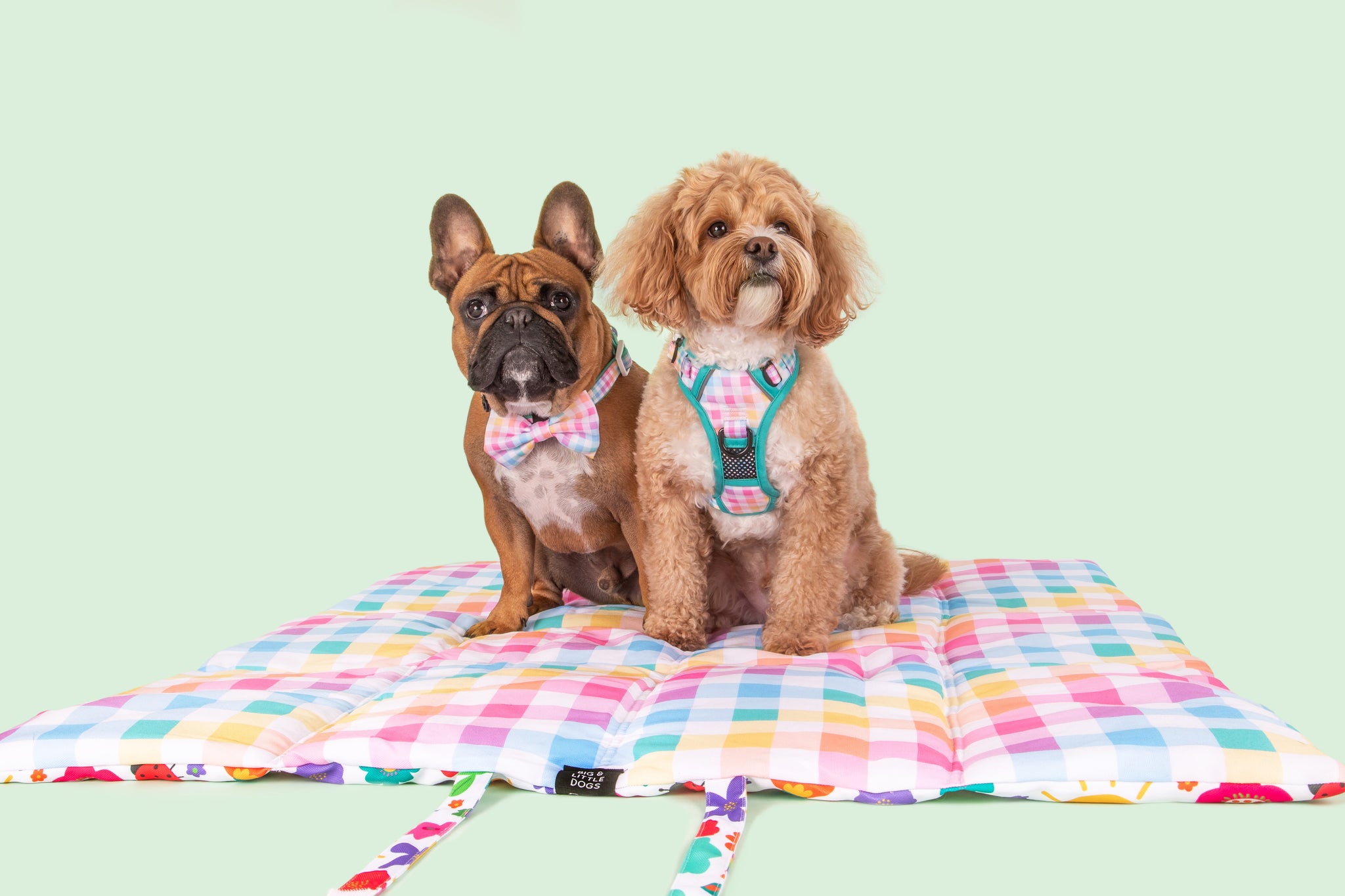 On The Go Pet Mat Follow The Rainbow Rainbow Gingham