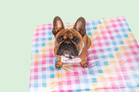 On The Go Pet Mat Follow The Rainbow Rainbow Gingham