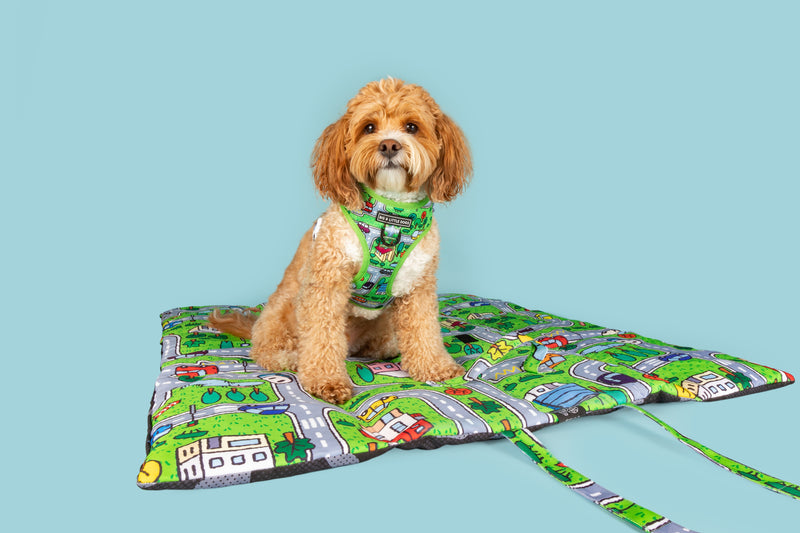 ON-THE-GO PET MAT: Traffic Town (UPDATED REVERSE!)