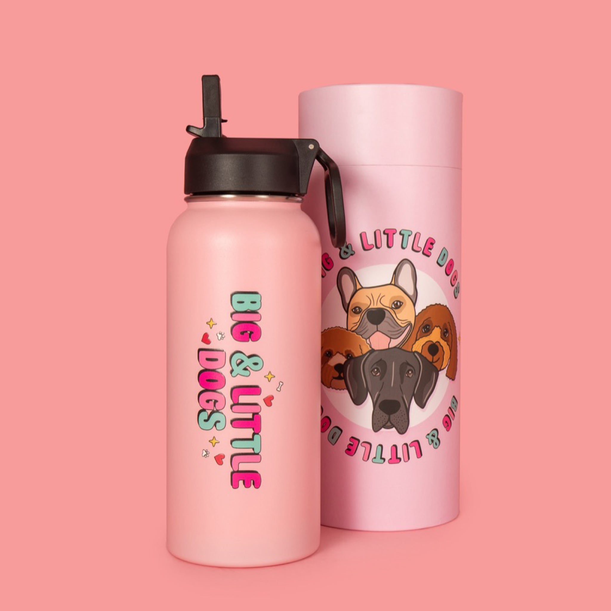 ON-THE-GO INSULATED DRINK BOTTLE: Pink {FINAL SALE}