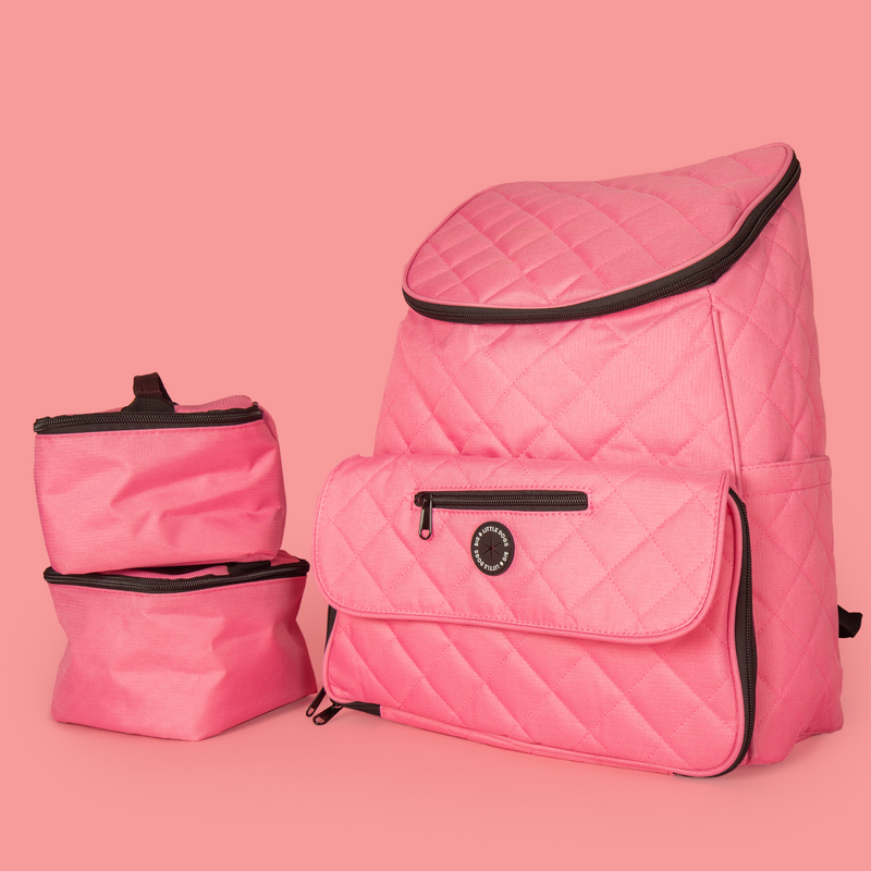 Pink top designer backpack