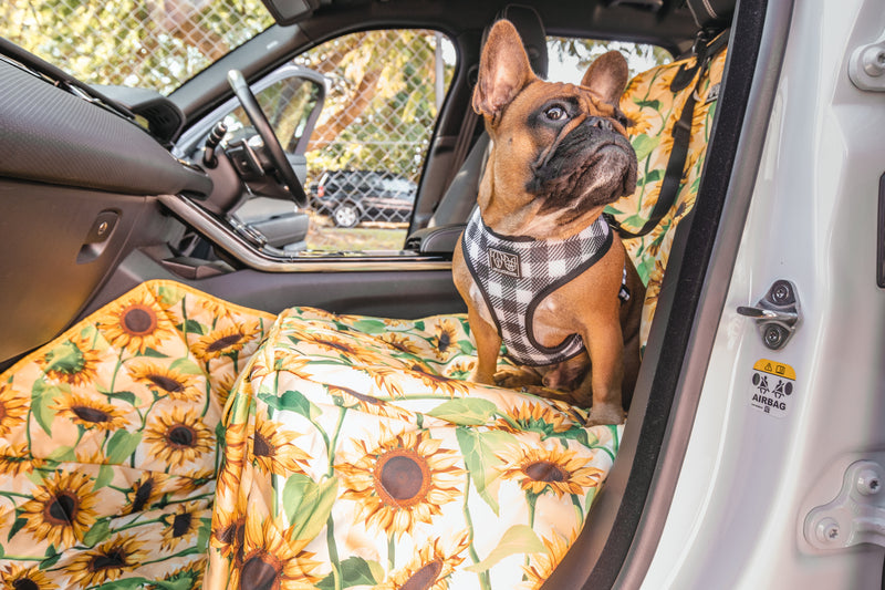 PREMIUM FRONT PASSENGER CAR SEAT COVER: Sunny Vibes