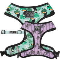 Reversible Dog Harness Toucan Do It