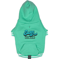 HOODIE DOG JUMPER: Teal {FINAL SALE}