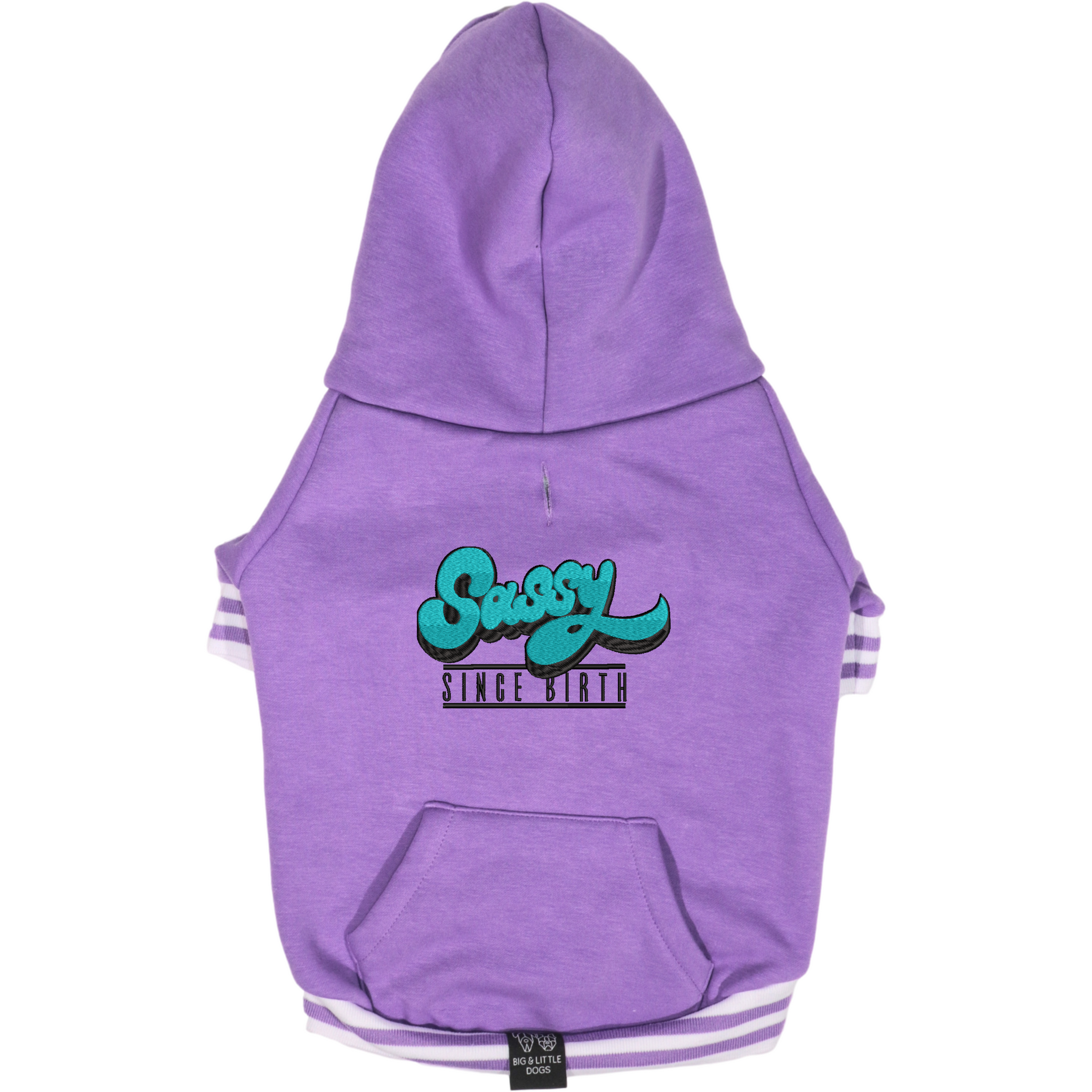 HOODIE DOG JUMPER: Purple {FINAL SALE}