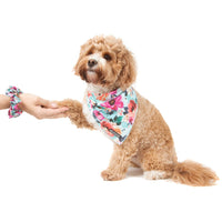 SCRUNCHIE: Perfect Petals {FINAL SALE}