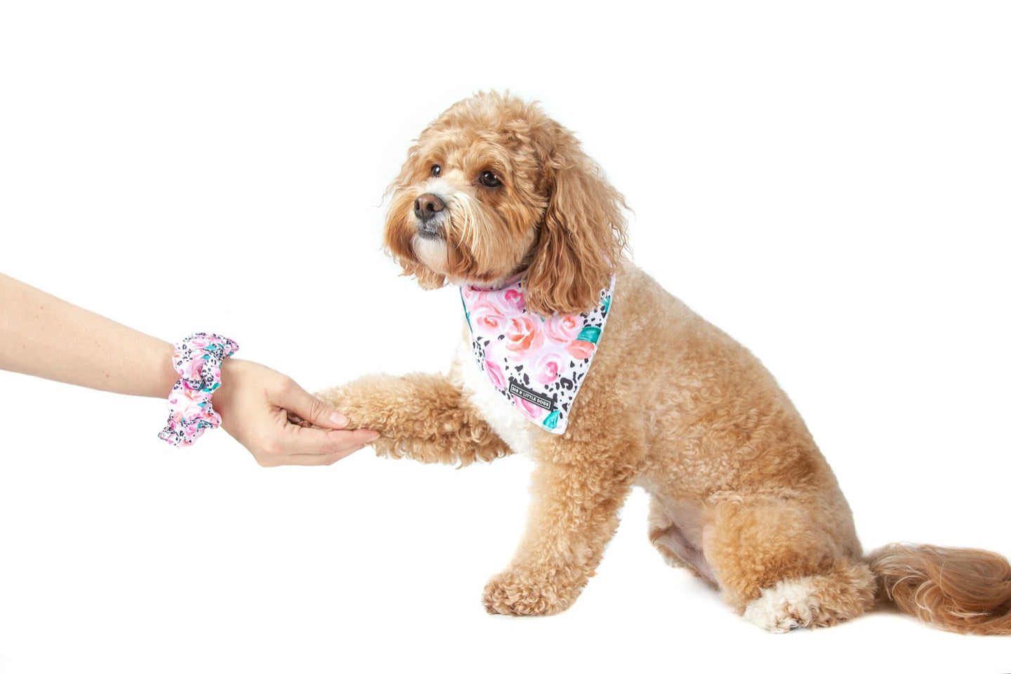 Hair Scrunchie Pretty as a Peony Flowers Leopard Print