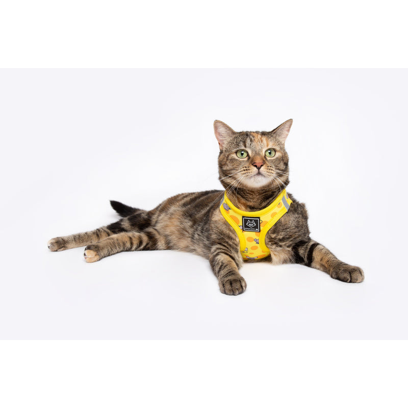 Cat Step In Harness Cheesin&