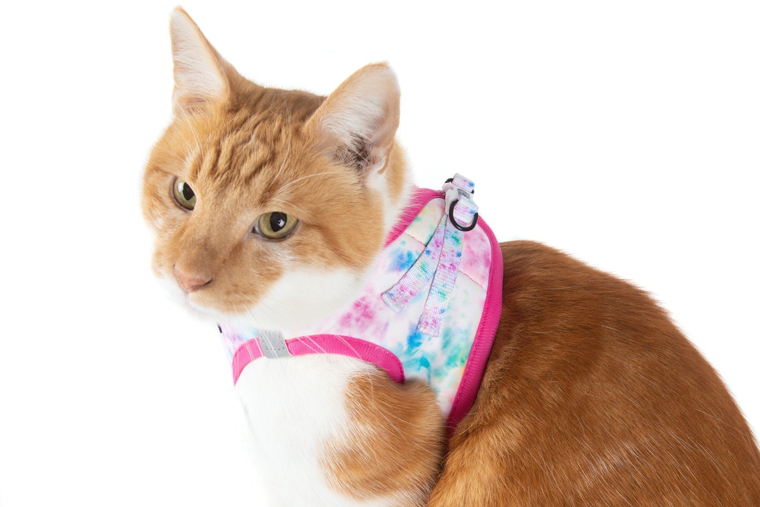 CAT STEP IN HARNESS: Cotton Candy