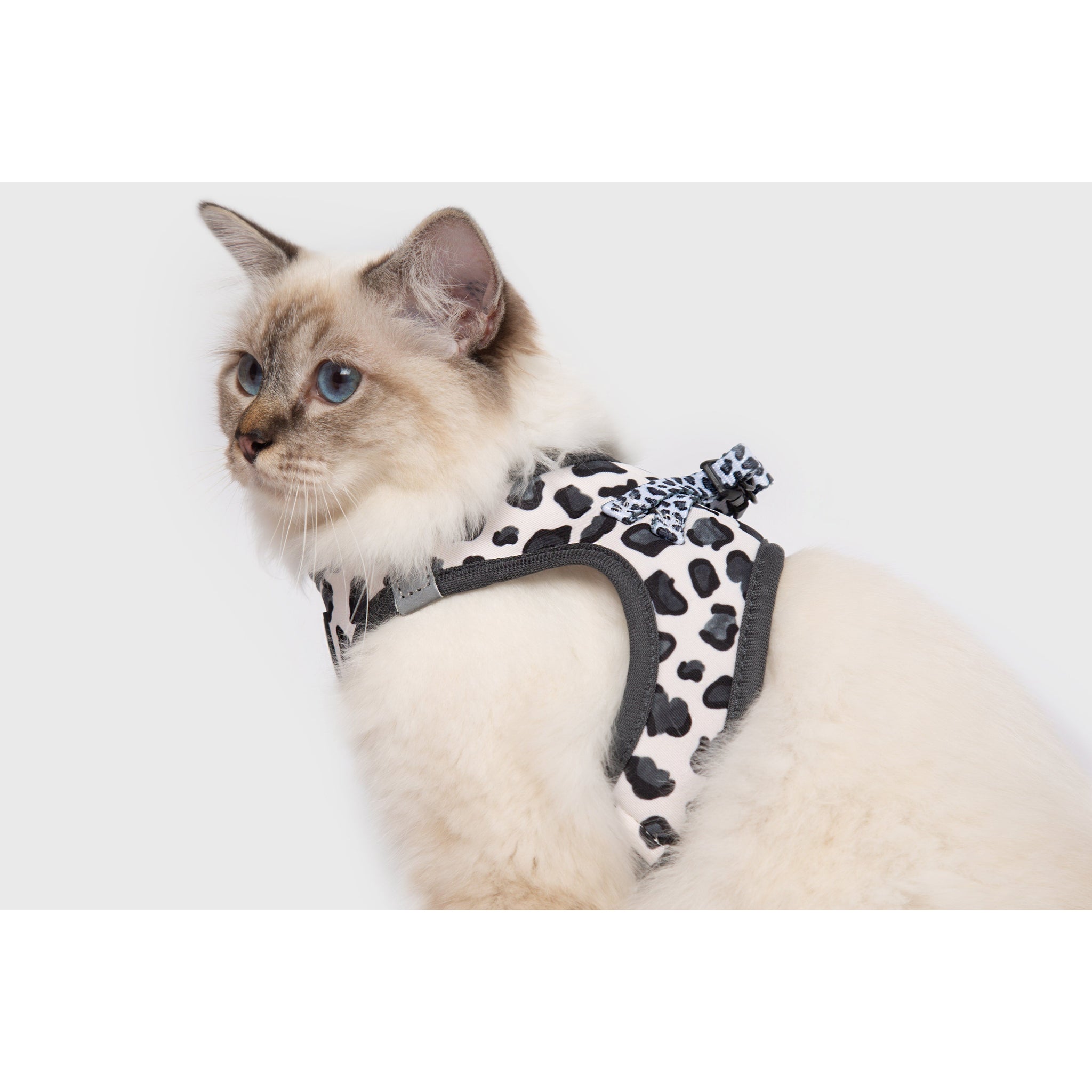 Cat Step In Harness Wild Cat Leopard Print