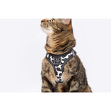 Cat Step In Harness Wild Cat Leopard Print