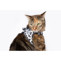 Cat Step In Harness Wild Cat Leopard Print