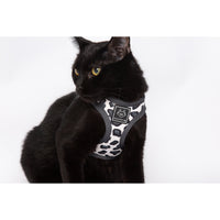 Cat Step In Harness Wild Cat Leopard Print